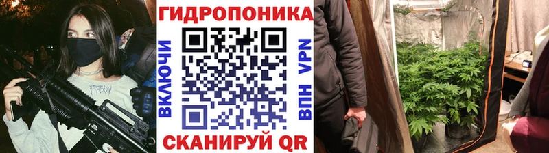 Виды наркоты Сураж Канабис  Псилоцибиновые грибы  A PVP  Меф  Cocaine 