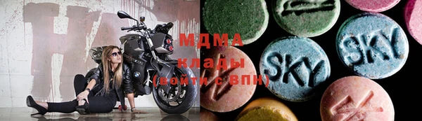 мдпв Елабуга