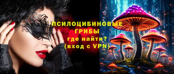 мдпв Абаза