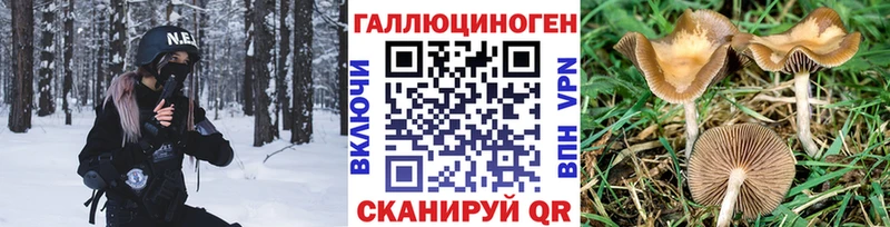 Псилоцибиновые грибы Psilocybe Сураж